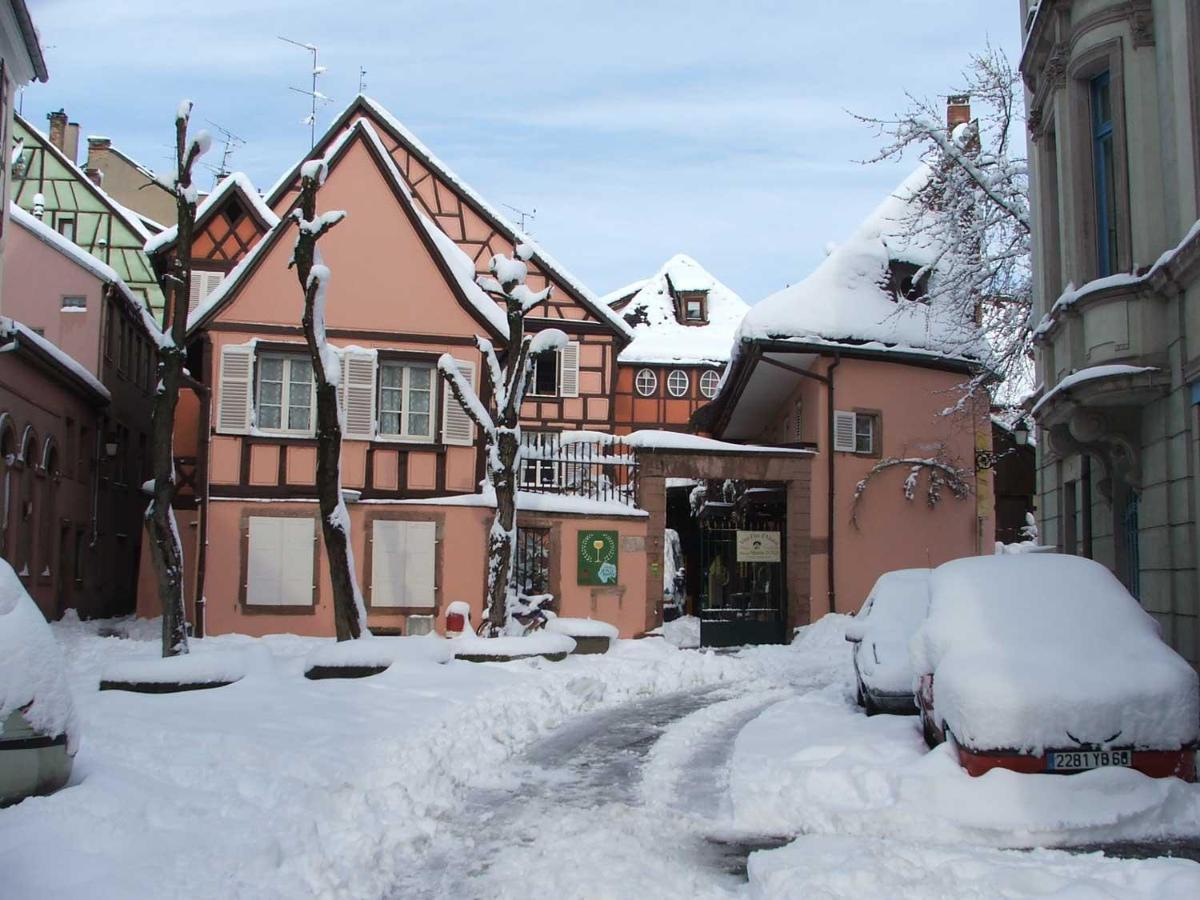 Chez Cecile Bed And Breakfast Chez Le Vigneron Colmar Dış mekan fotoğraf